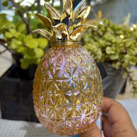 Bath & Body Works Other - BBW PLUG